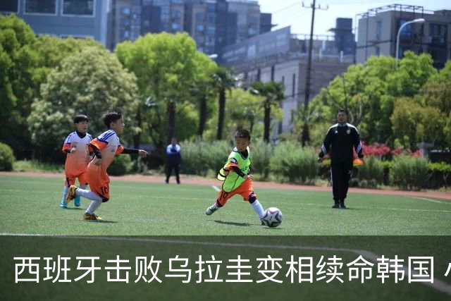 西班牙击败乌拉圭变相续命韩国 小组第1出线避开潘帕斯雄鹰